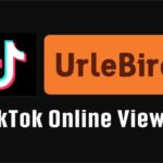 TikTok Online Viewer Urlebird: