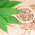 Buy High-Quality Cannabis Seeds Online